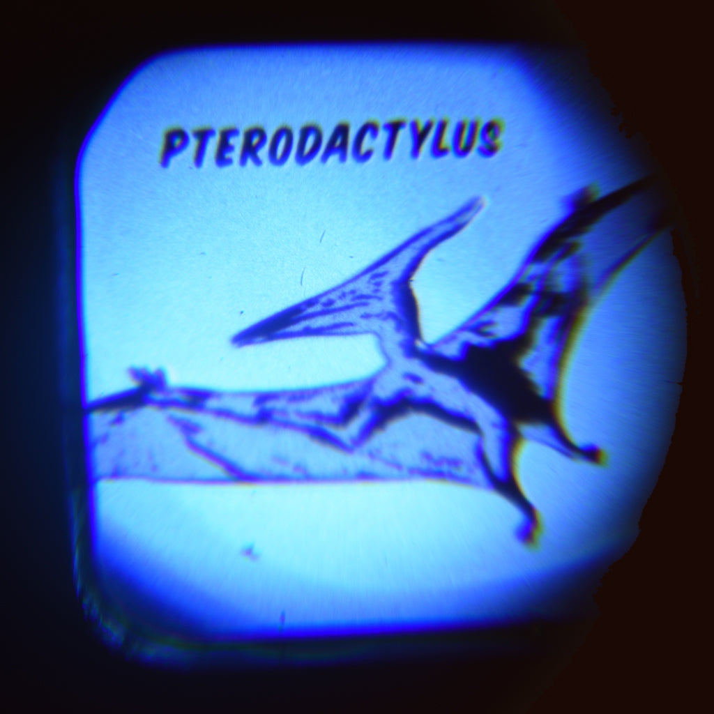 Rex London - Projector zaklamp Prehistoric Land