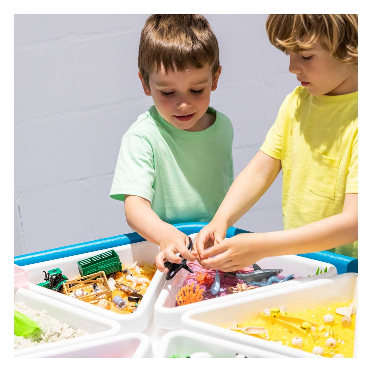 Amaya - 6 compartimenten voor in zeshoekige tuff tray