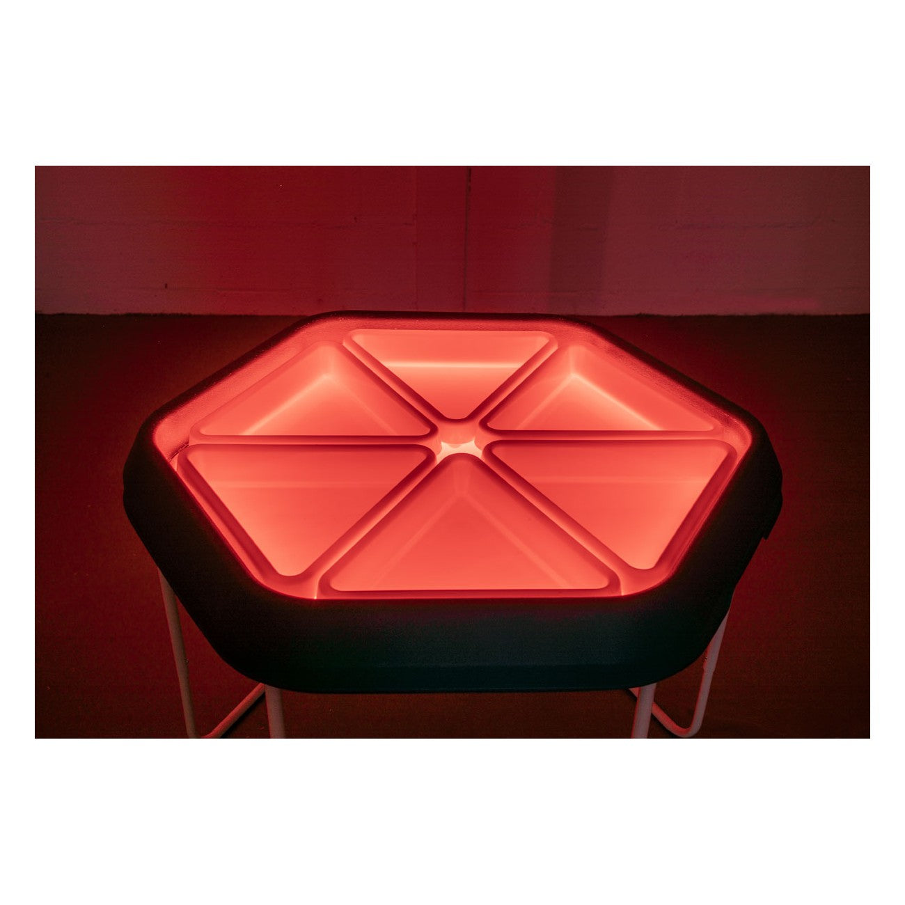 Amaya - 6 compartimenten voor in zeshoekige tuff tray