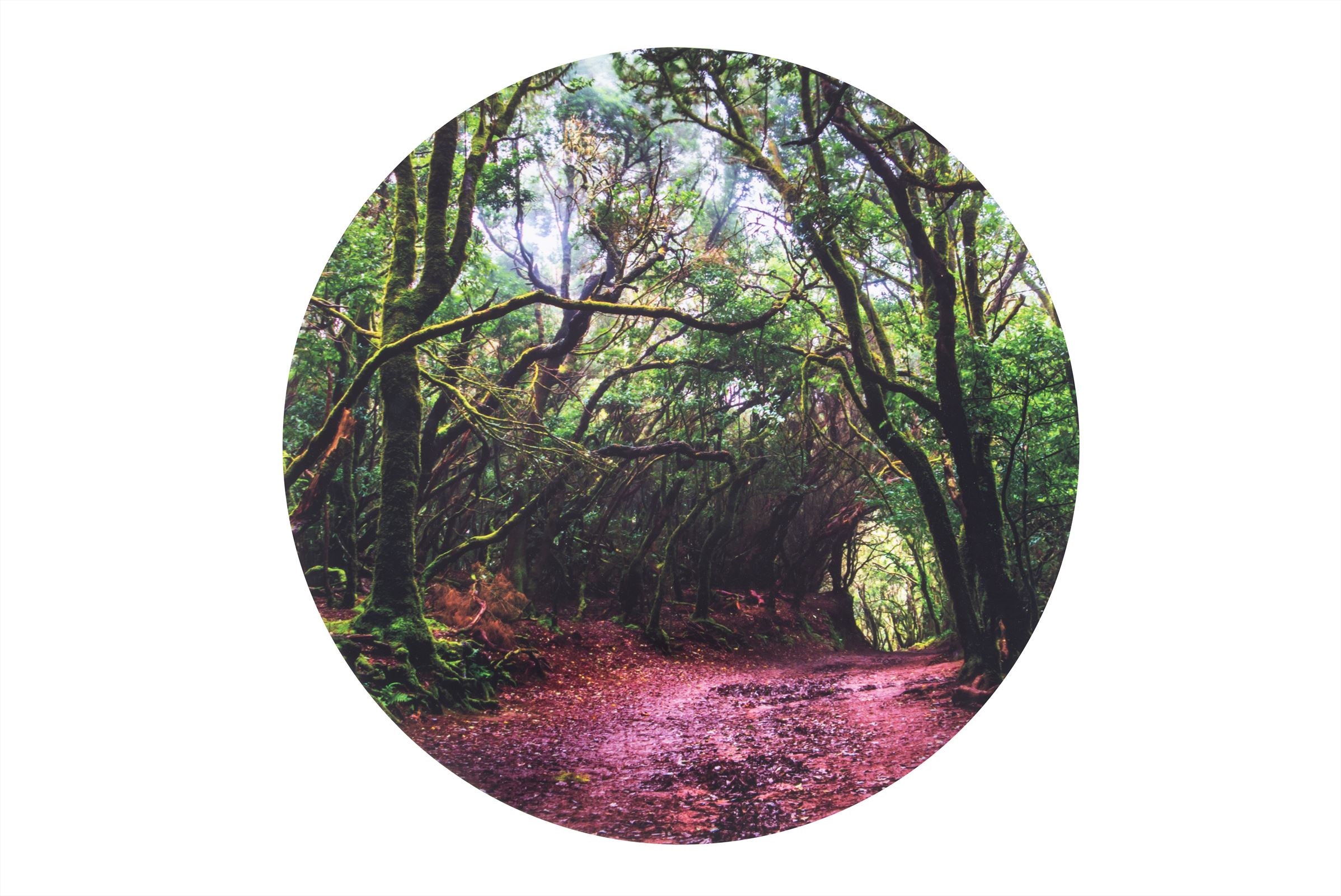 TickiT - Bos Ontdekkings Speelmat