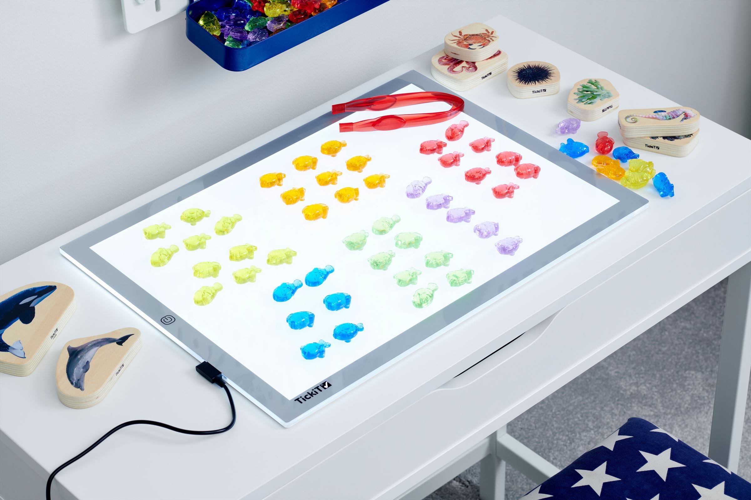 TickiT - Doorschijnende Gekleurde Vis