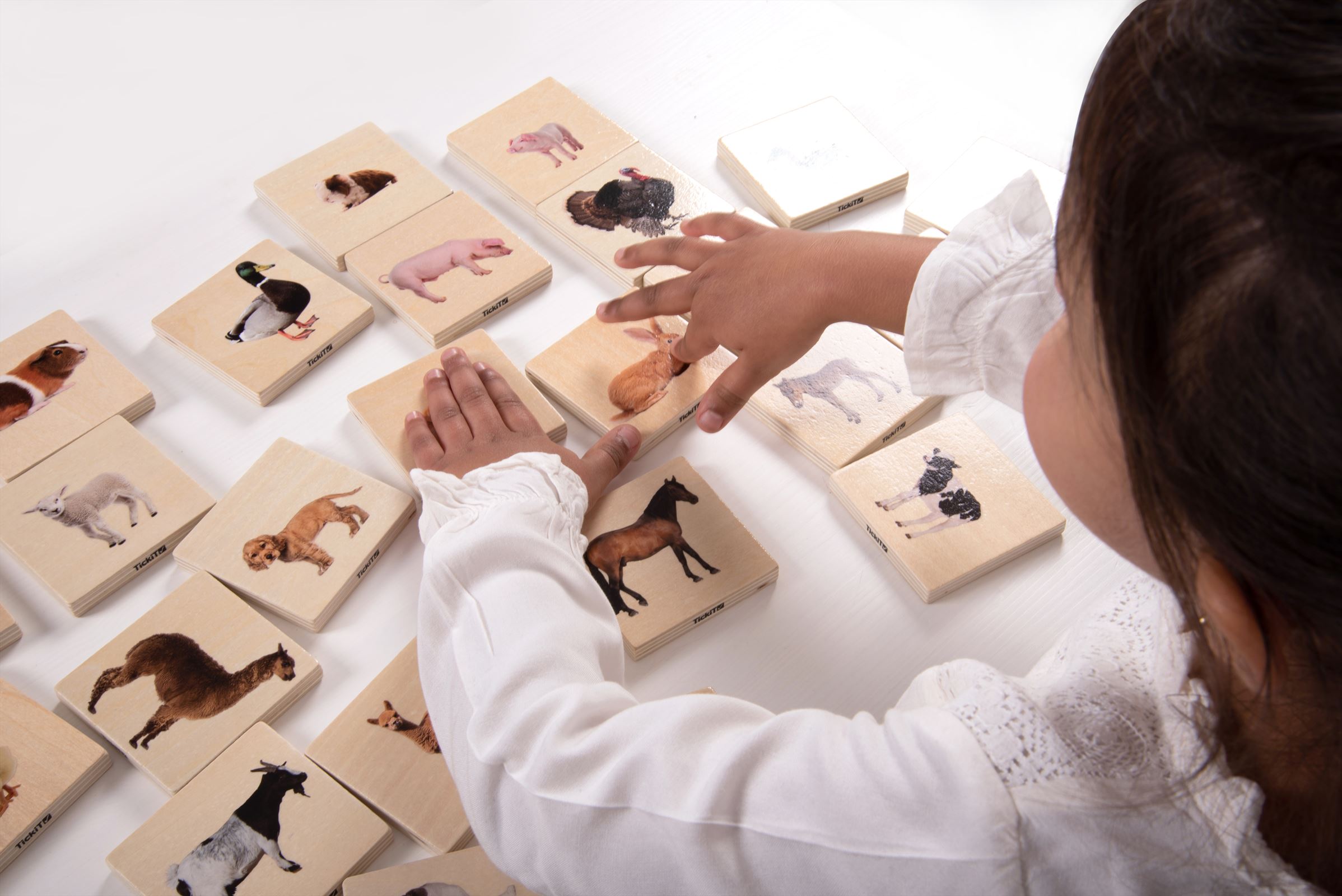 TickiT - Familiewedstrijd voor Huisdieren