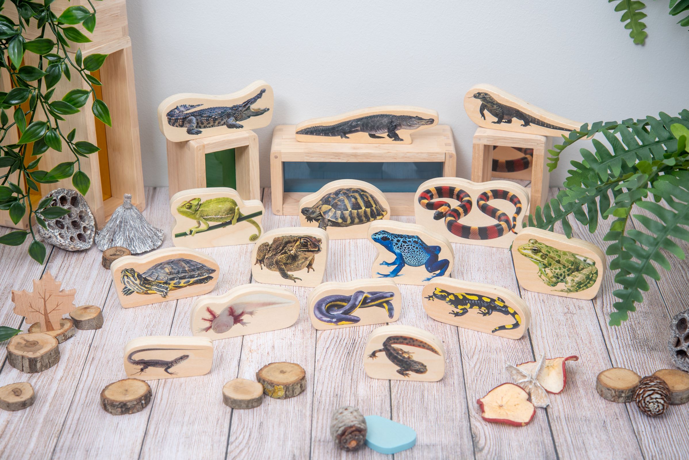 TickiT - Houten Reptielen- en Amfibieënblokken