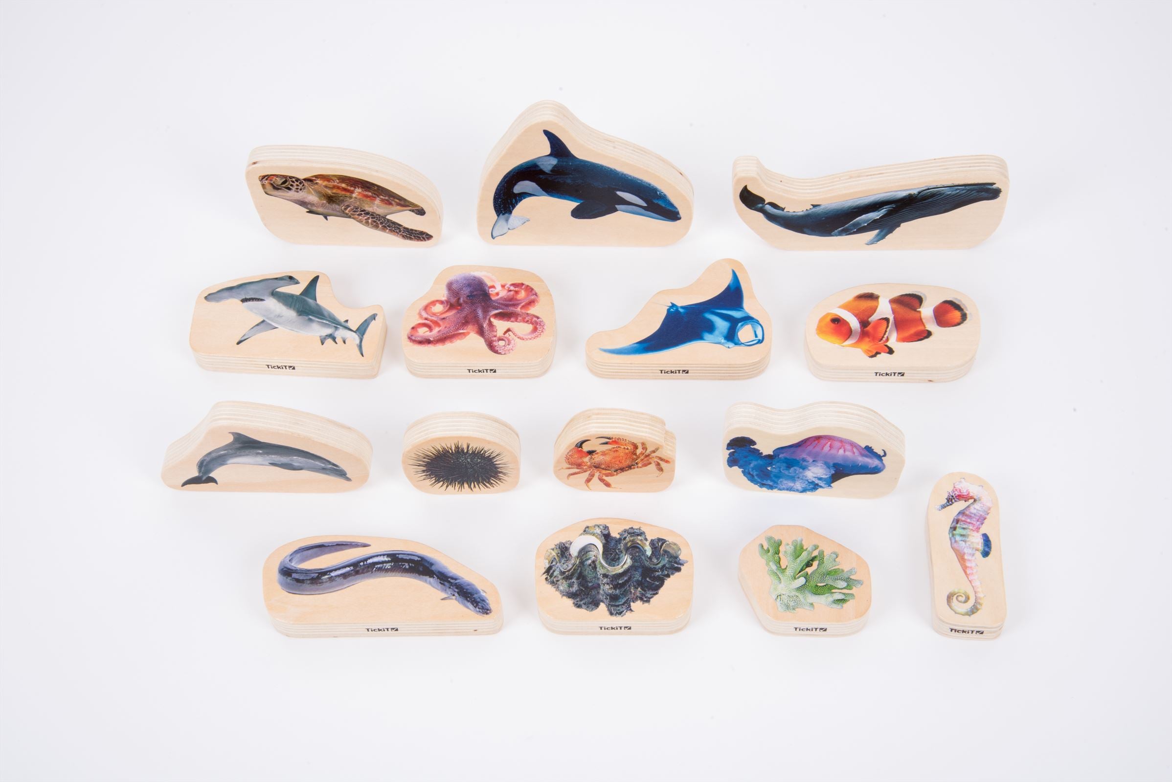 TickiT - Houten Zeelevenblokken