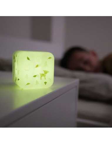 Cloud B - Cube B - Forest