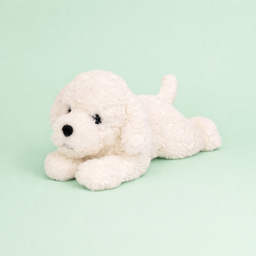 Verzwaard hondje met witte krullende vacht