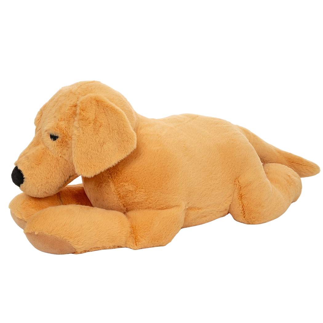 Verzwaarde labrador van opzij