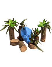 Magic Wood Planten en waterval