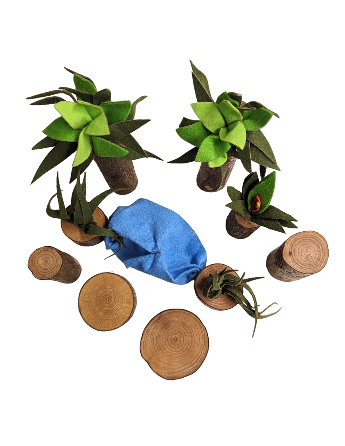 Magic Wood Planten en waterval