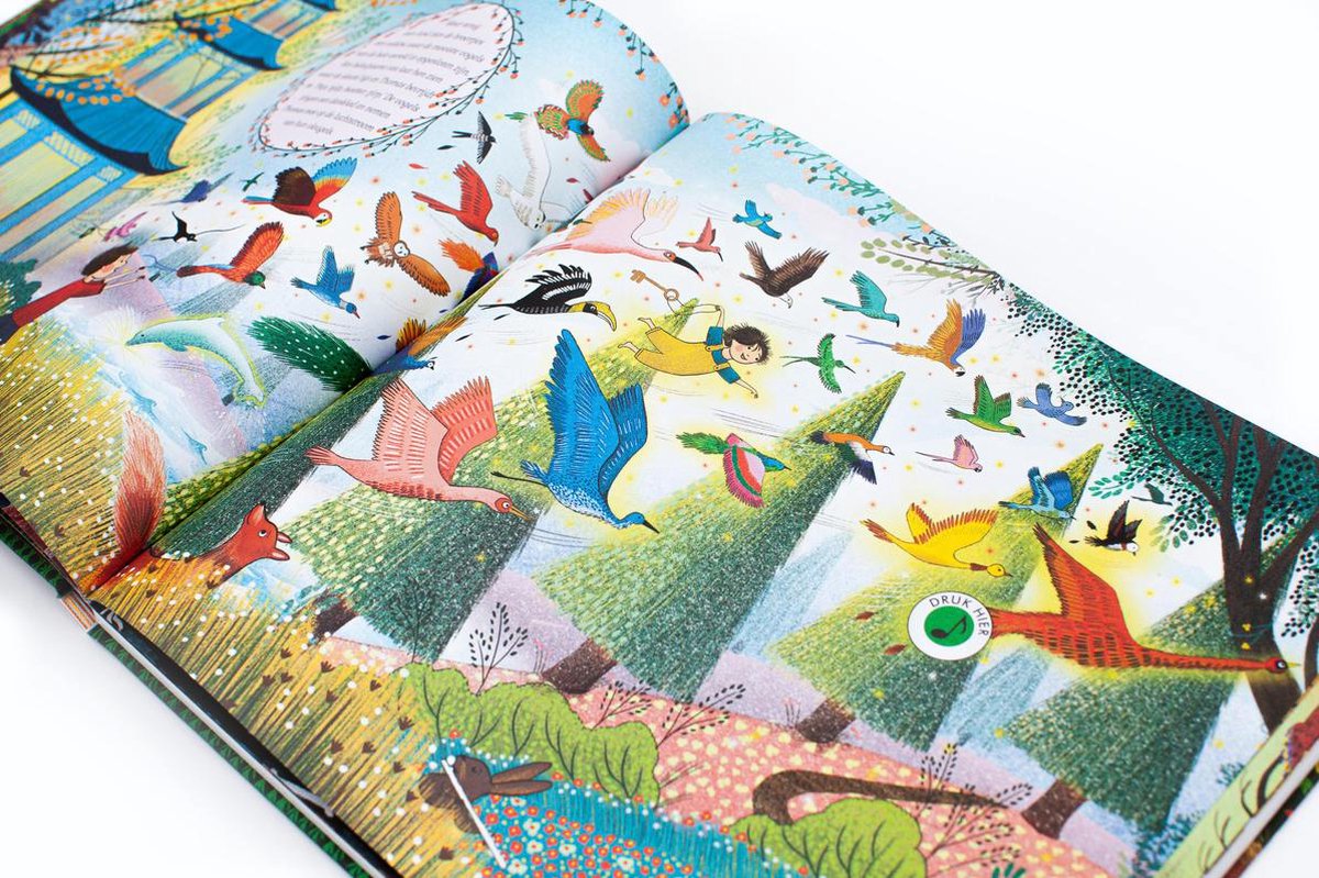 Boek met muziek - Carnaval der dieren - Jessica Courtney-Tickle (vanaf 4 jaar)