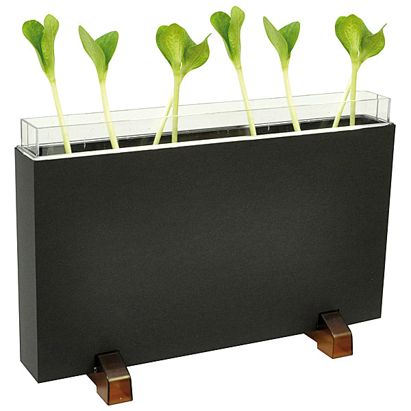 Eduplay Wormenhotel of plantenhotel