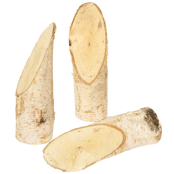 Eduplay - 5 houten berken stammetjes