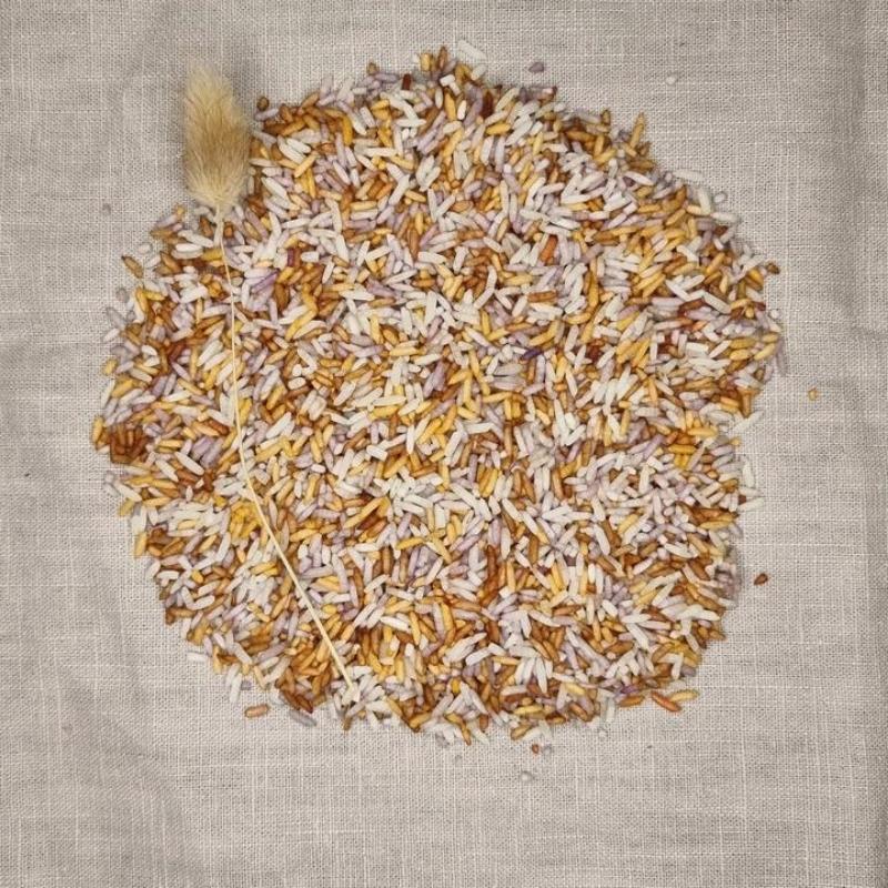 Grennn - Gekleurde sensorische rijst 250 gram - Hippy Summer Mix