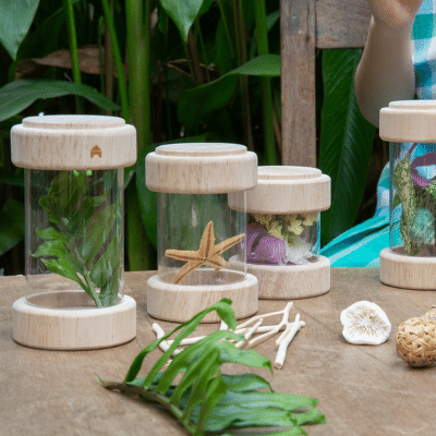 Guidecraft - 8 Treasure Tubes (schat-ontdekkings cilinders) - transparant