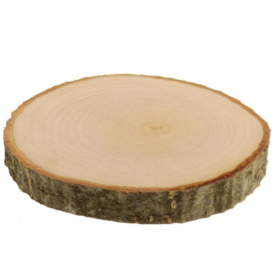 Grote houten schijf of plank met schors Ø 10 cm dikte is 1,5cm
