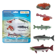 Speelfiguren Levenscyclus Zalm - Safari Ltd 5 stuks