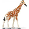 Speelfiguur Giraffe - Safari Ltd