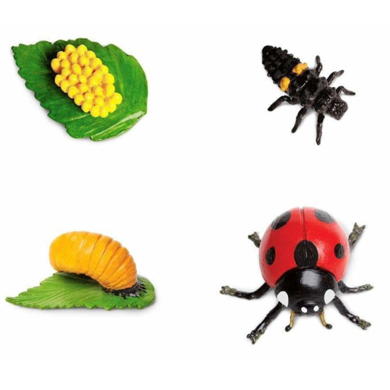Speelfiguur levenscyclus lieveheersbeestje - Safari Ltd