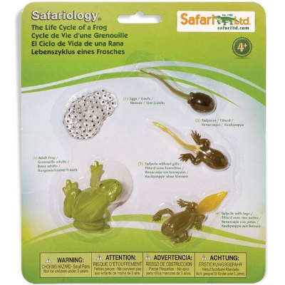 Speelfiguren Levenscyclus Kikker - Safari Ltd 5 stuks