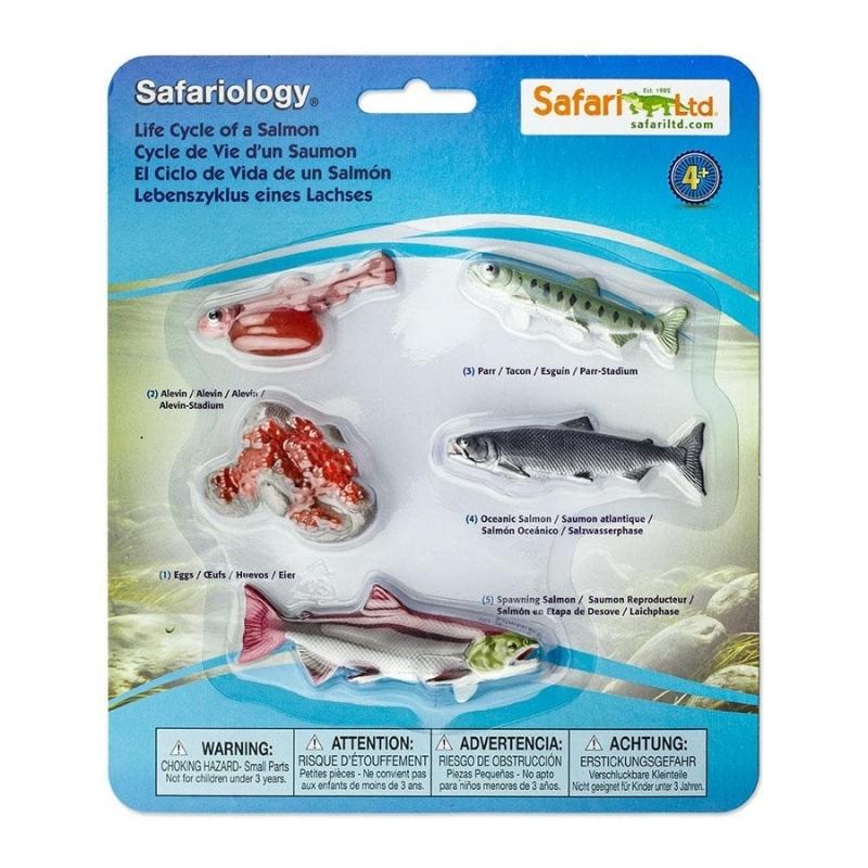 Speelfiguren Levenscyclus Zalm - Safari Ltd 5 stuks