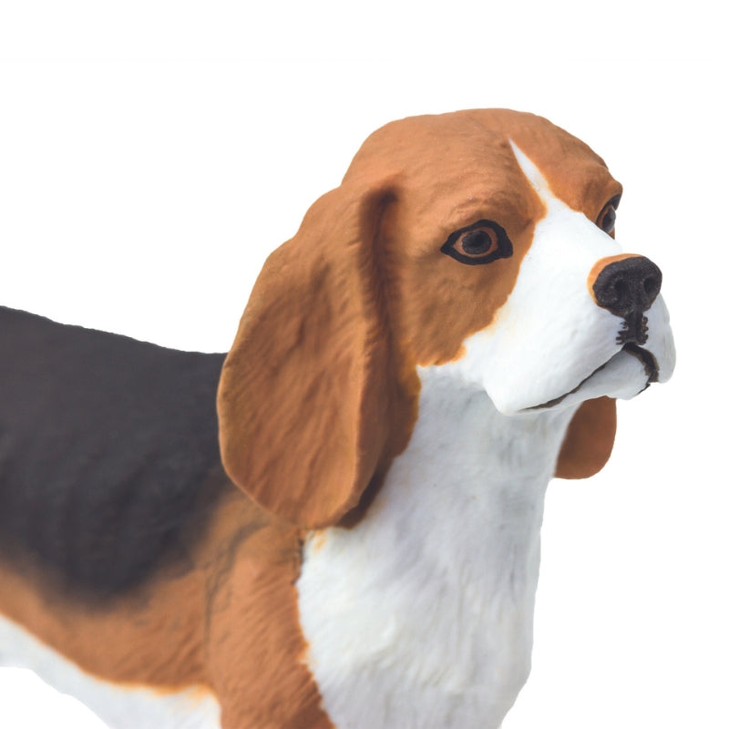 Speelfiguren Beagle hond - Safari Ltd