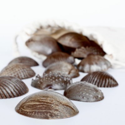 EDX - Eco sensorische schelpen (36 stuks)