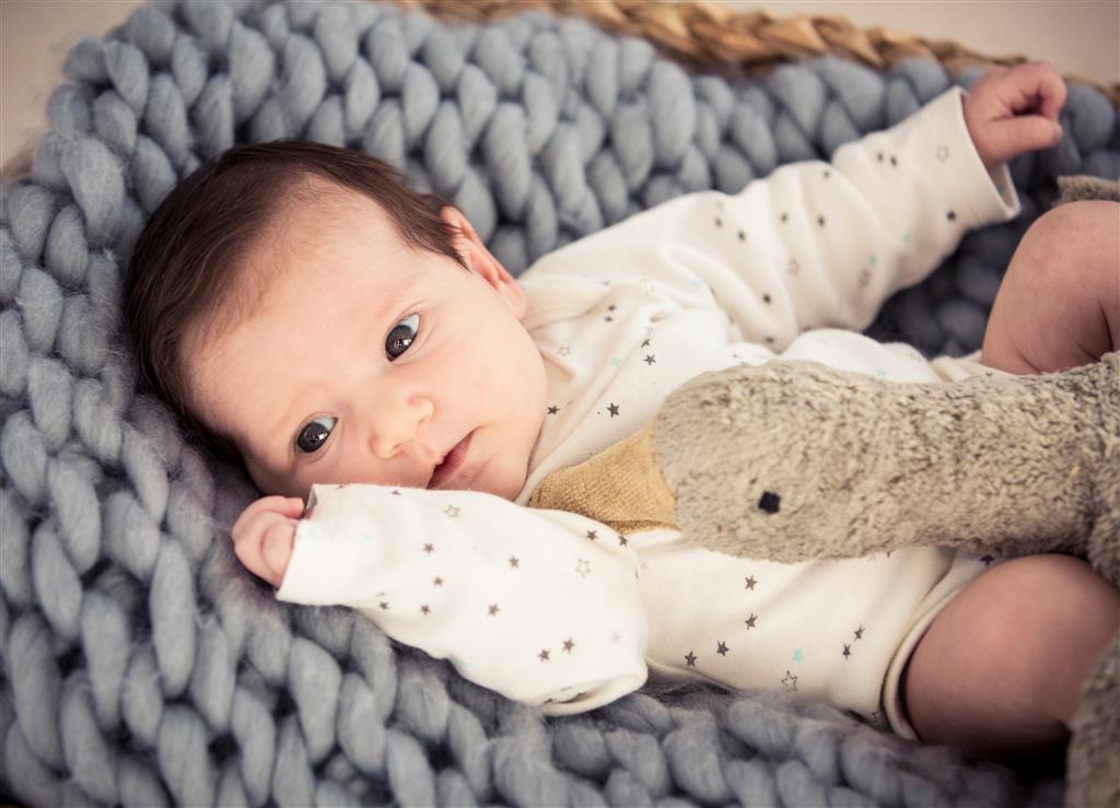 Senger Naturwelt Knuffel Warmtekussen Met Kersenpitjes | Goose Gans Small Grey