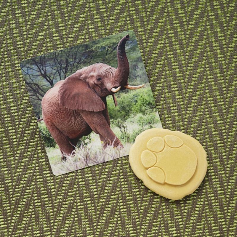 Safari Stempel Stenen dubbelzijdig (8 stuks) - Yellow Door