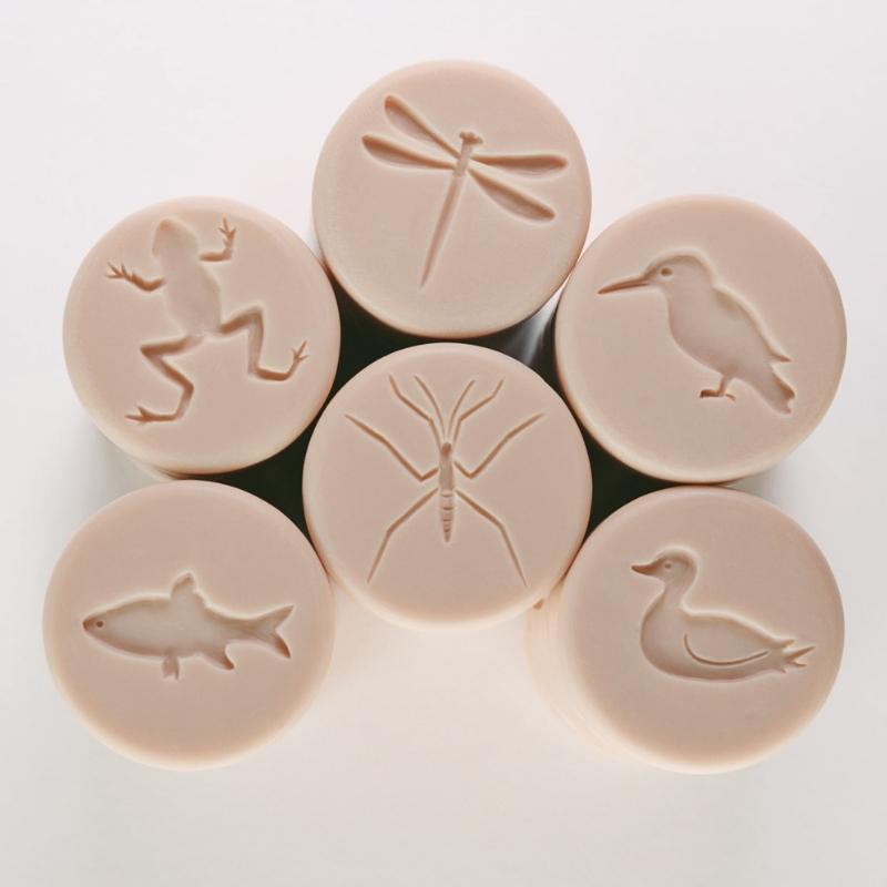 Let's roll - 6 Stempel Rollers leven in de vijver - Yellow Door