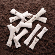 Dinosaurus Botten (steen) 12 stuks - Yellow Door