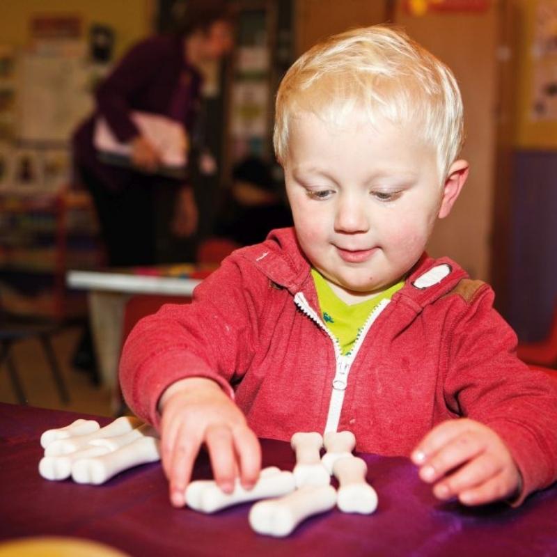 Dinosaurus Botten (steen) 12 stuks - Yellow Door