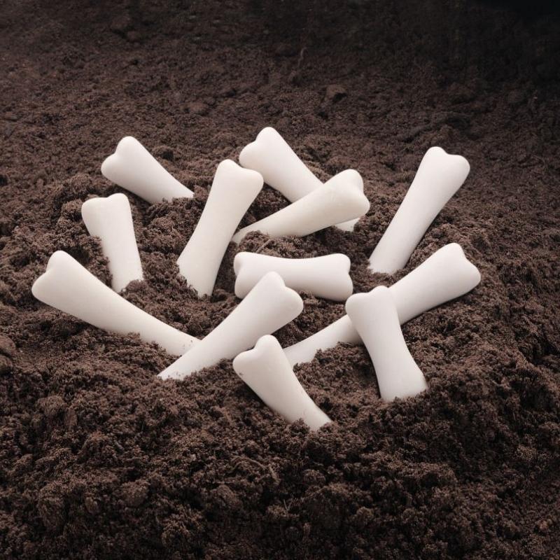 Dinosaurus Botten (steen) 12 stuks - Yellow Door