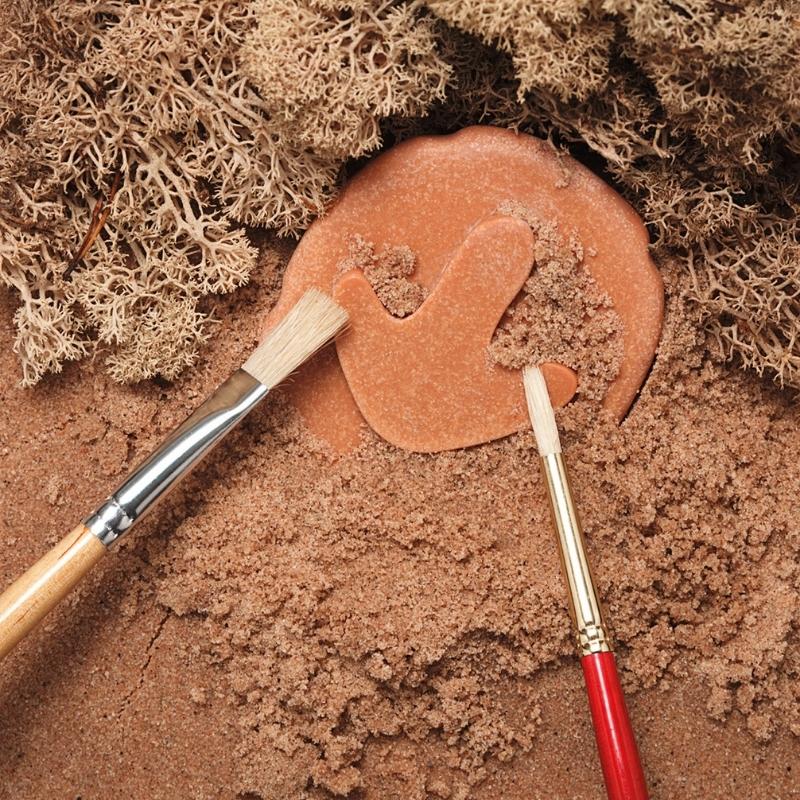 Dinosaurus Stempel Stenen dubbelzijdig (8 stuks) - Yellow Door