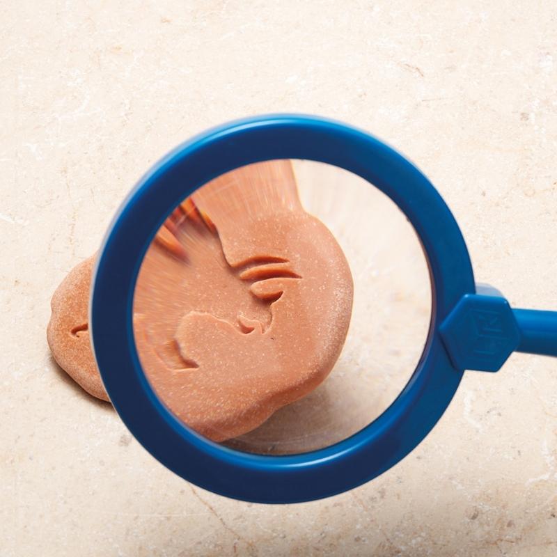 Dinosaurus Stempel Stenen dubbelzijdig (8 stuks) - Yellow Door