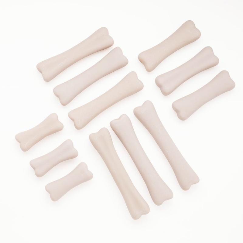 Dinosaurus Botten (steen) 12 stuks - Yellow Door