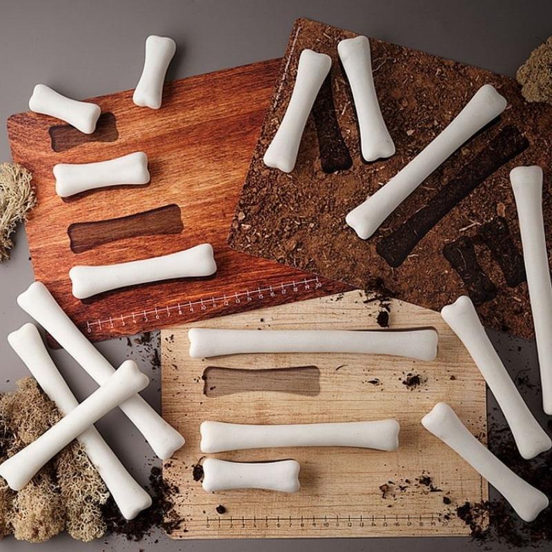 Activiteiten kaarten voor bij Dino Botten 16 stuks - Yellow Door