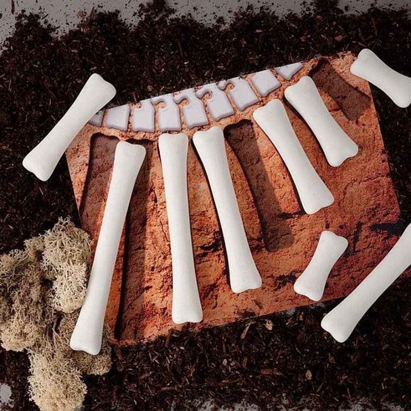 Activiteiten kaarten voor bij Dino Botten 16 stuks - Yellow Door