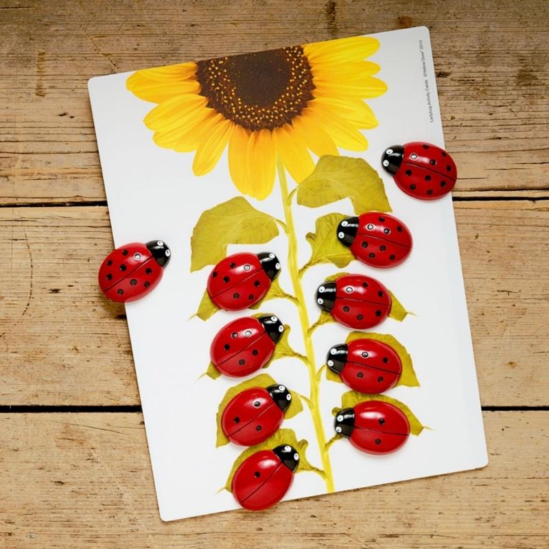 Activiteiten kaarten voor bij Lieveheersbeestjes - Yellow Door