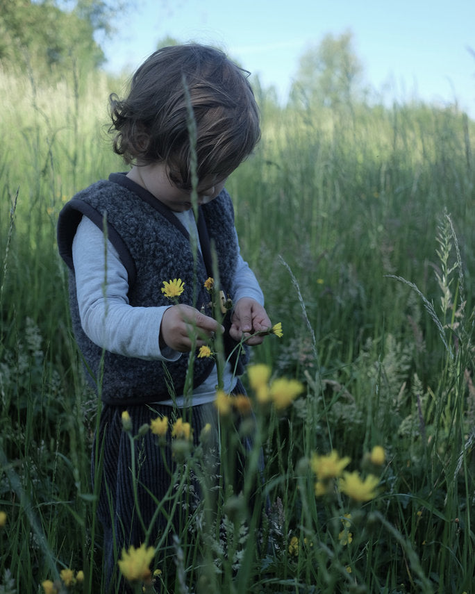 Alwero Jr - Vest of bodywarmer Alpen Antraciet - 100% wol