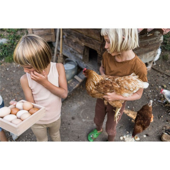 Grapat - Opbergdoos - Grapat