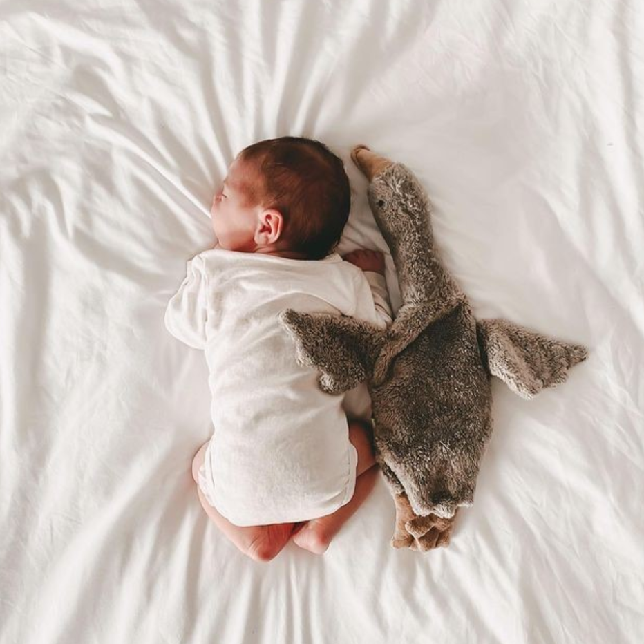 Senger Naturwelt Knuffel Warmtekussen Met Kersenpitjes | Goose Gans Small Grey