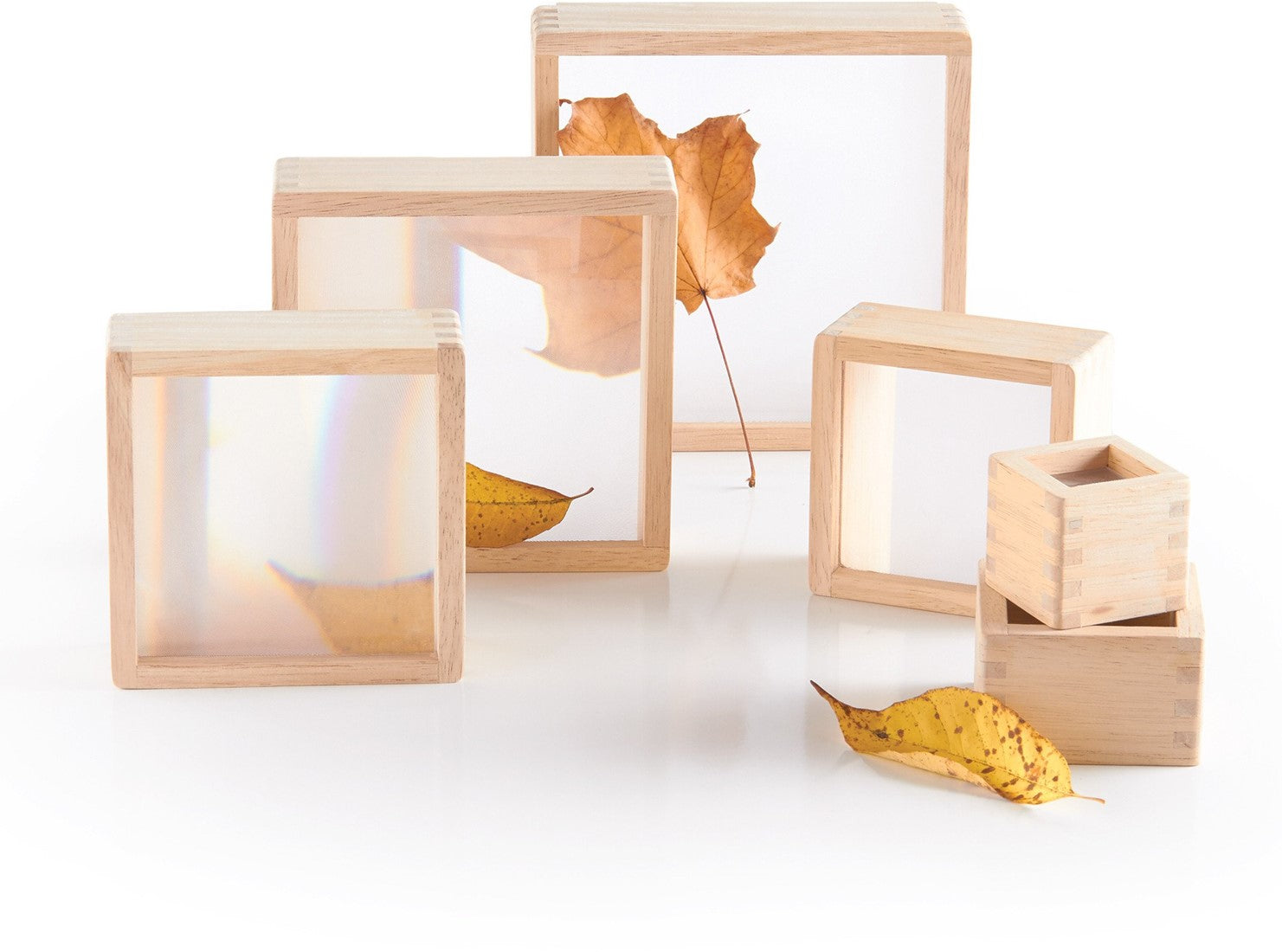 Guidecraft - 6 Houten blokken met vergrootglas