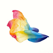 Sarah's Silks Reuze Speelzijde - Giant Playsilk - Regenboog 177 x 89cm