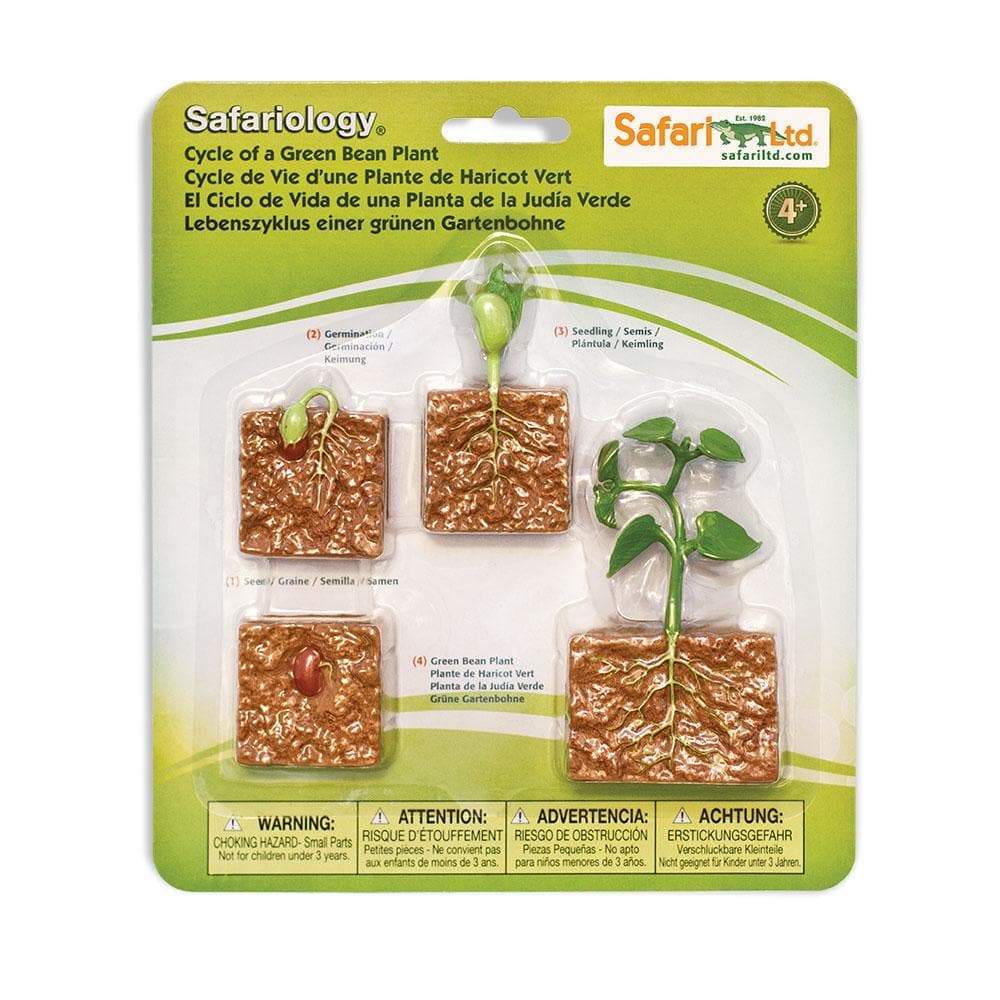 Speelfiguren Levenscyclus Sperziebonenplant - Safari Ltd 4 stuks
