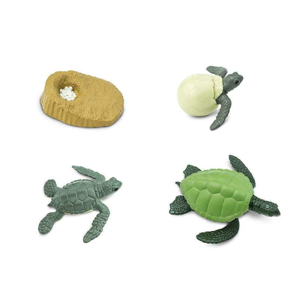 Speelfiguren Levenscyclus Zeeschildpad - Safari Ltd 4 stuks