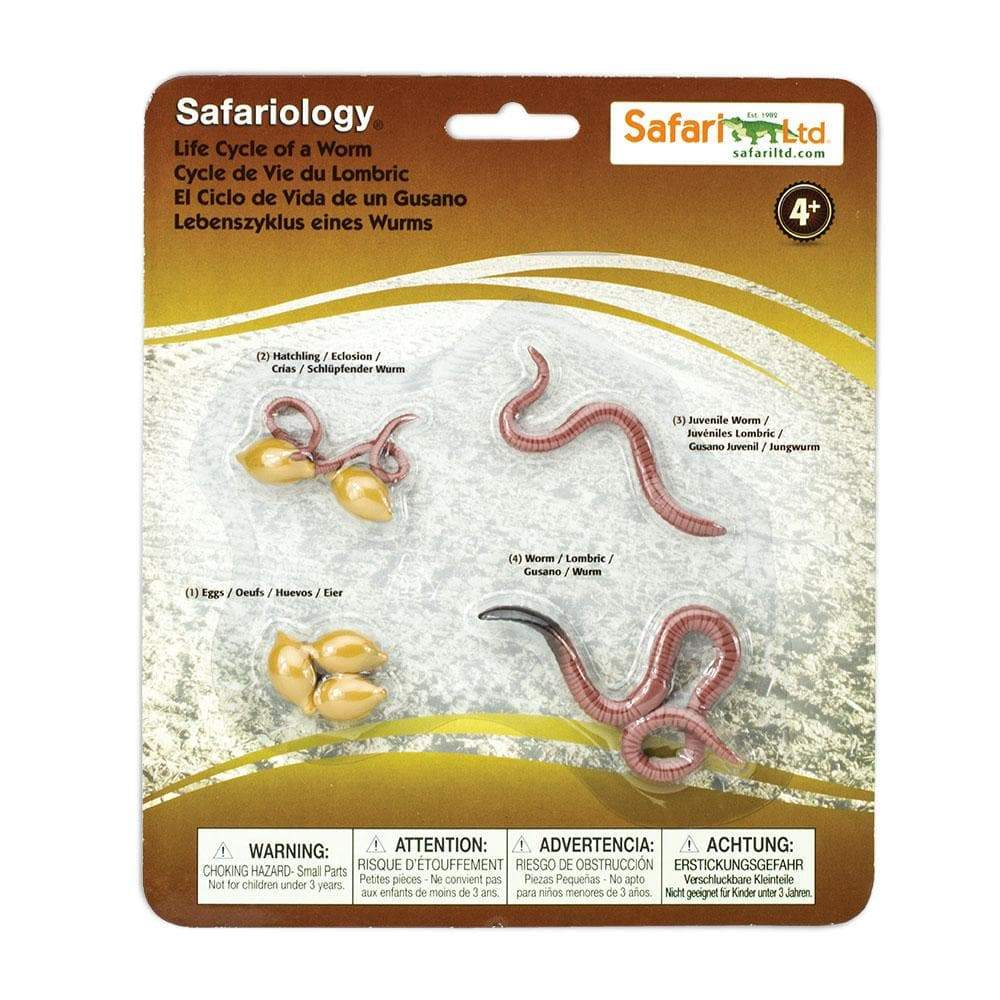 Speelfiguren Levenscyclus Regenworm - Safari Ltd 4 stuks