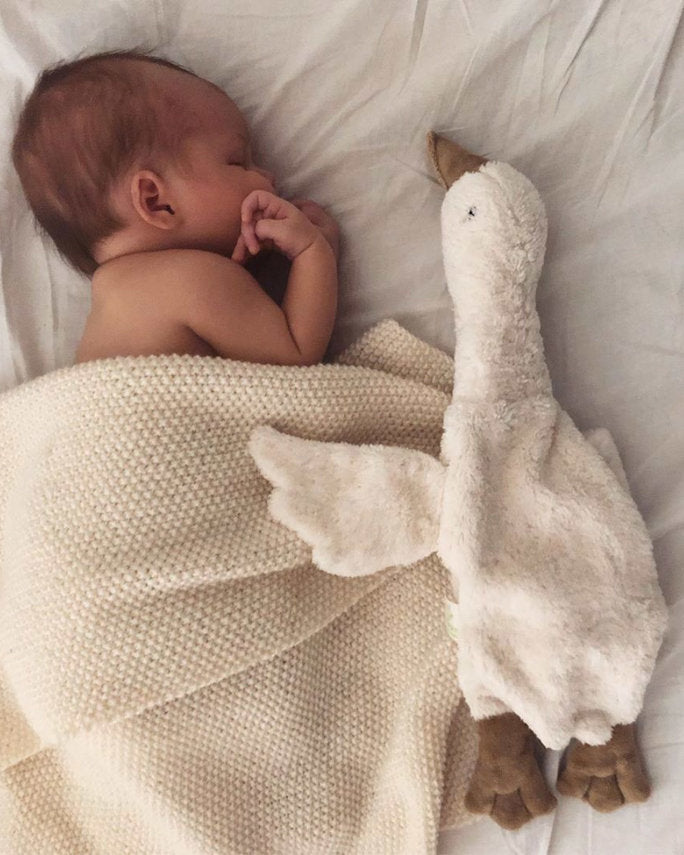 Knuffel Warmtekussen Met Kersenpitjes