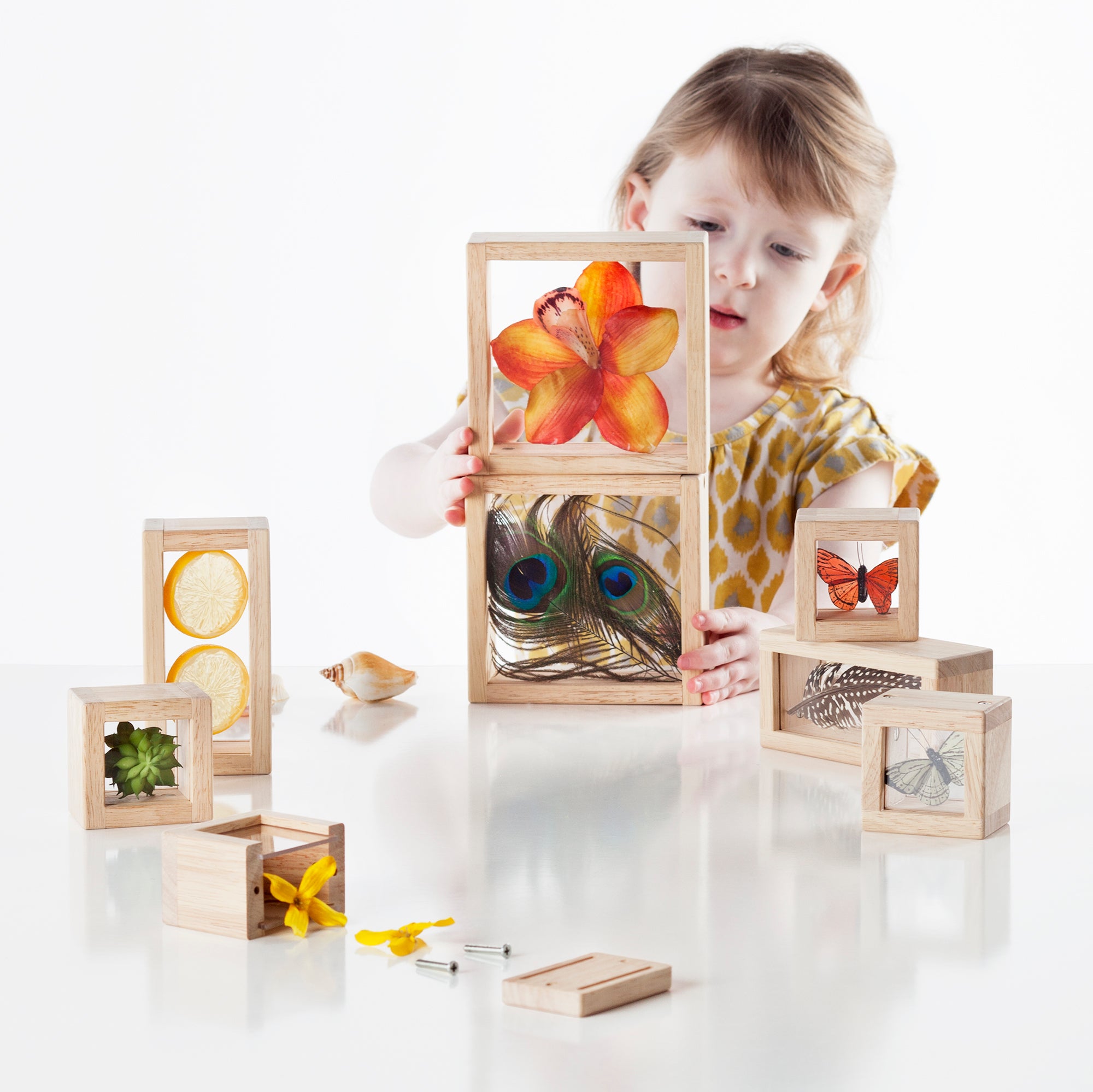 Guidecraft - 8 Treasure Blocks (schat-ontdekkings blokken) - transparant